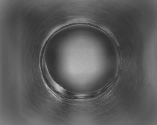 X0000052991342200507081139