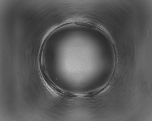 X0000052991344200507081139