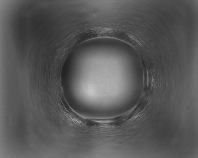 X0000052991345200507081138