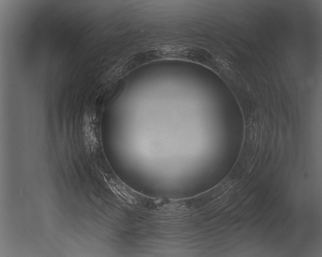 X0000052991346200507081138