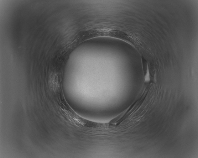 X0000052991347200507081138