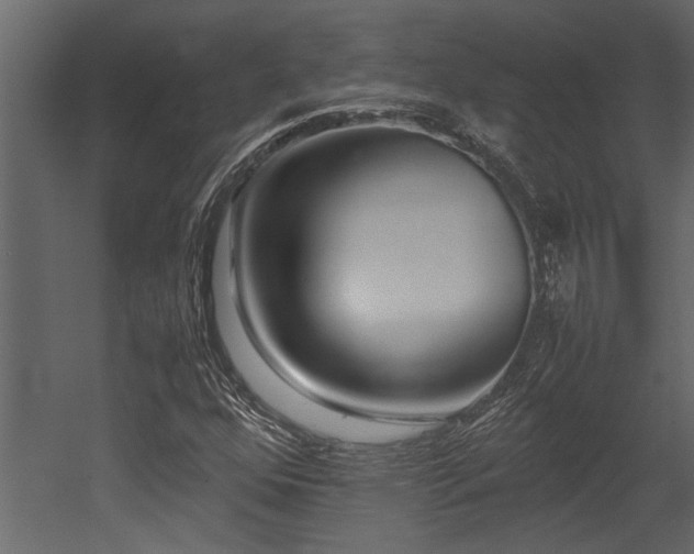 X0000052991352200507081138