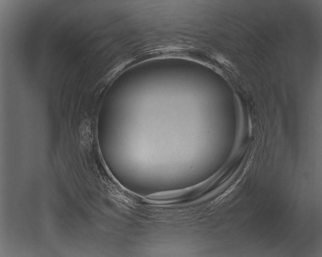 X0000052991353200507081138