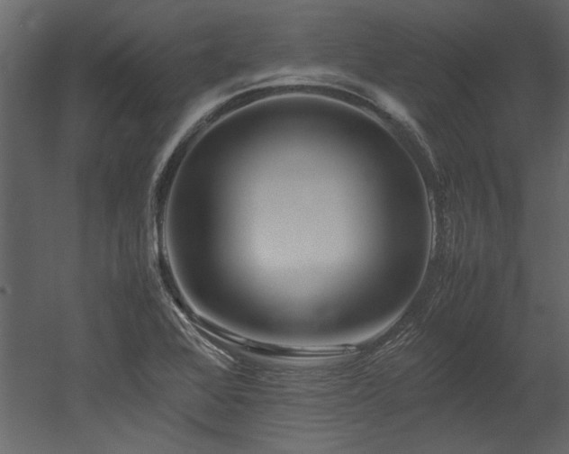 X0000052991368200507081138