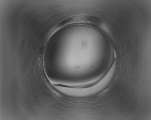 X0000052991369200507081138