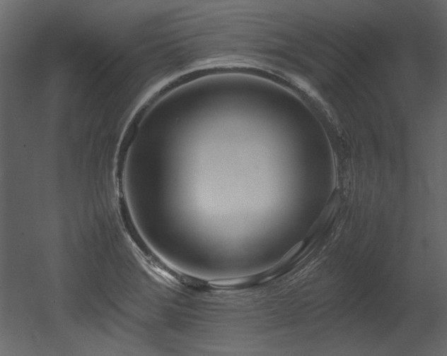 X0000052991372200507081138