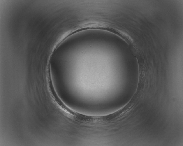 X0000052991375200507081138