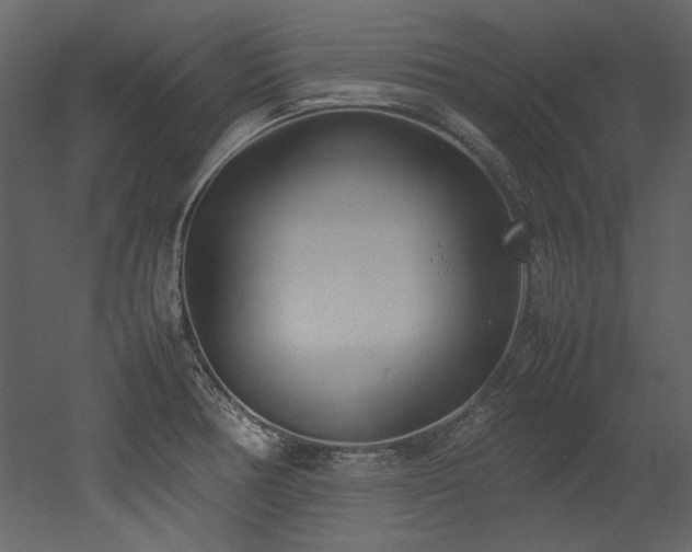 X0000052991378200507081138