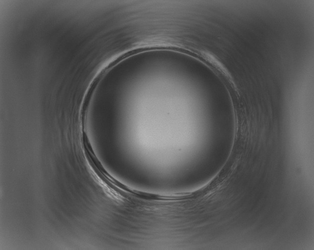 X0000052991380200507081138