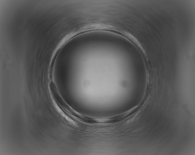 X0000052991381200507081138