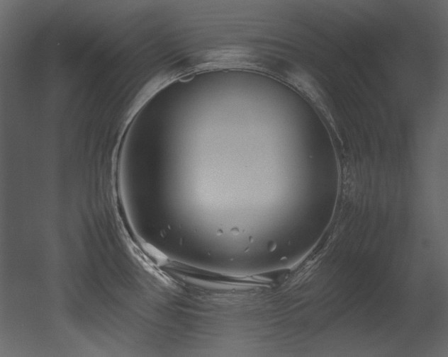 X0000052991386200507081138