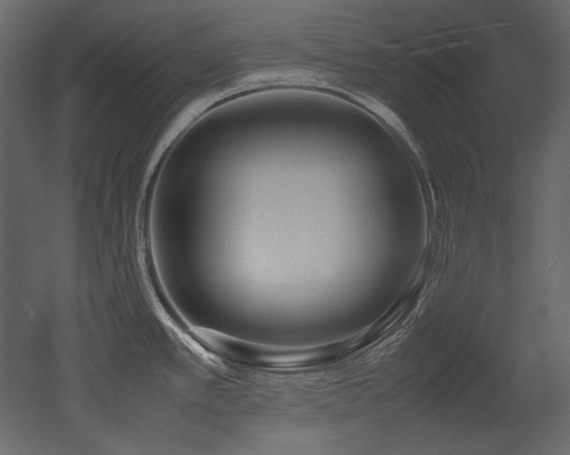 X0000052991389200507081137