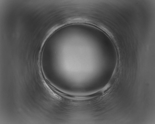 X0000052991392200507081137