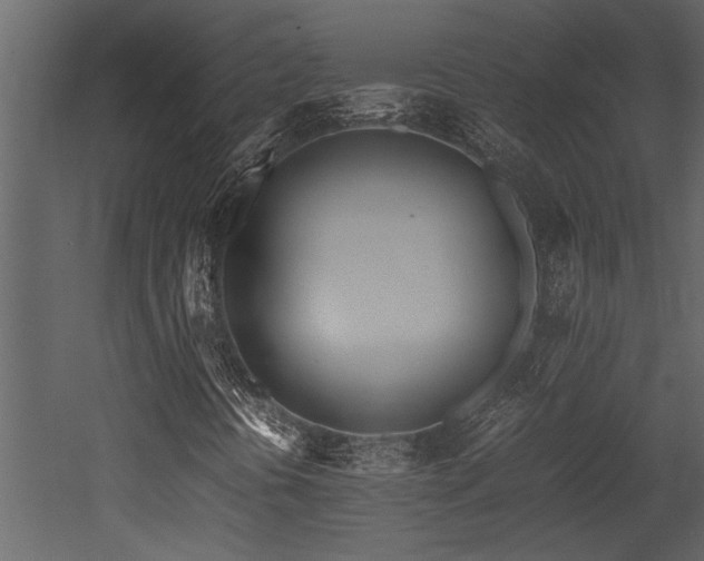 X0000052991394200507081137