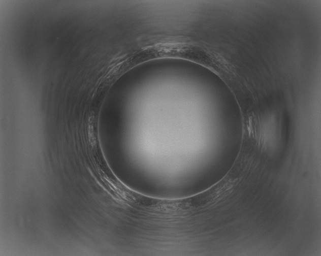 X0000052991396200507081137