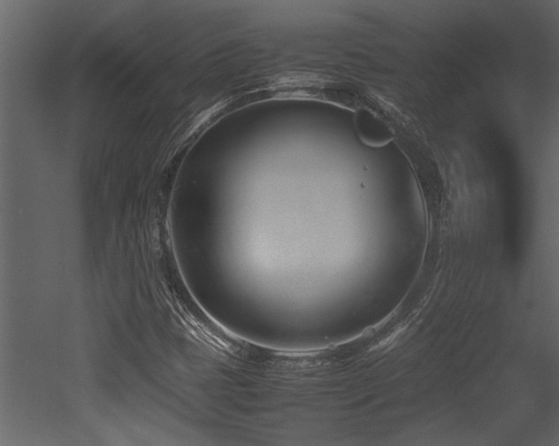 X0000052991401200507081137
