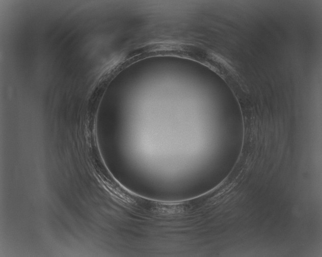 X0000052991403200507081137