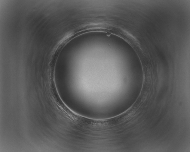 X0000052991411200507081137