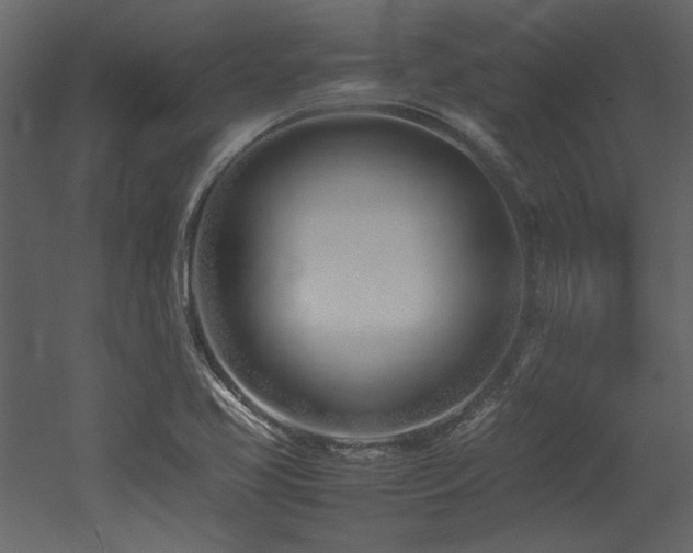 X0000052991413200507081137