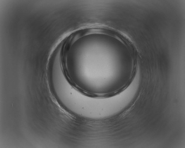 X0000052991414200507081137
