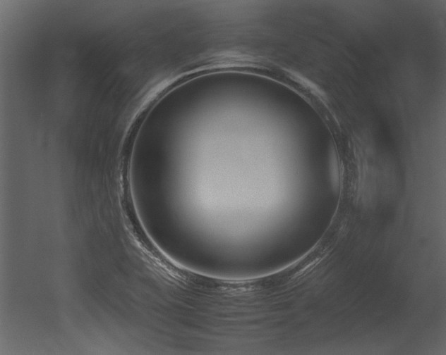 X0000052991415200507081137