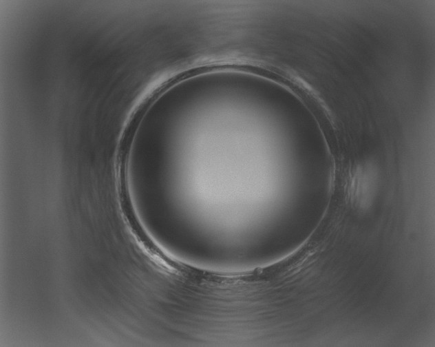 X0000052991416200507081137