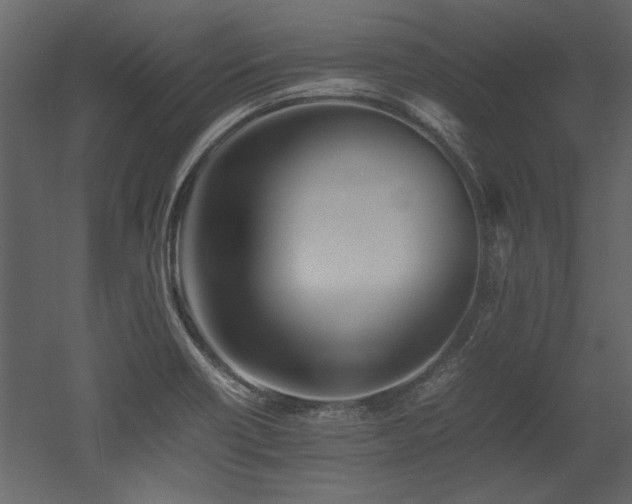 X0000052991418200507081137
