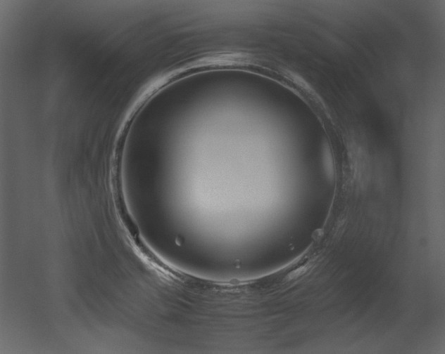 X0000052991421200507081137