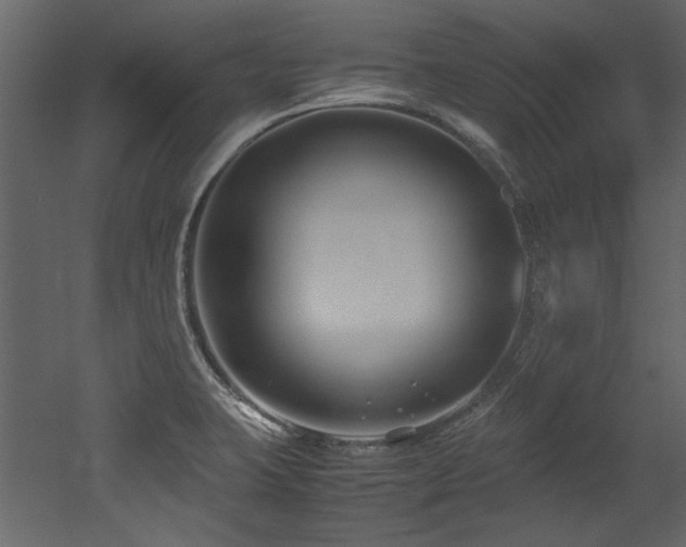 X0000052991423200507081137