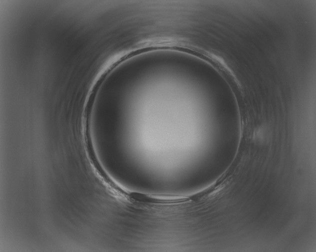 X0000052991424200507081137