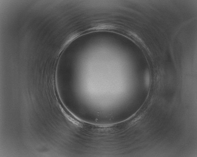 X0000052991425200507081137
