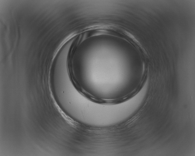 X0000052991426200507081137