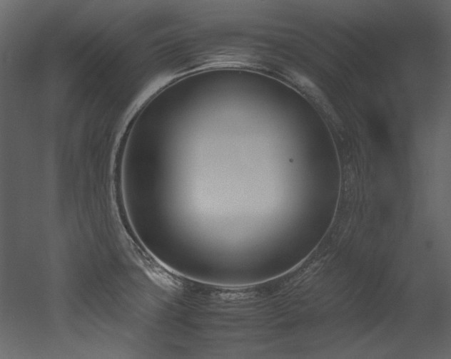 X0000052991427200507081137
