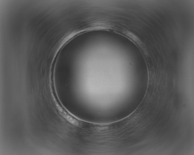 X0000052991431200507081137
