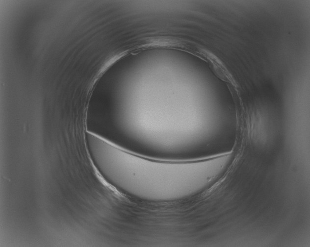 X0000052991433200507081137