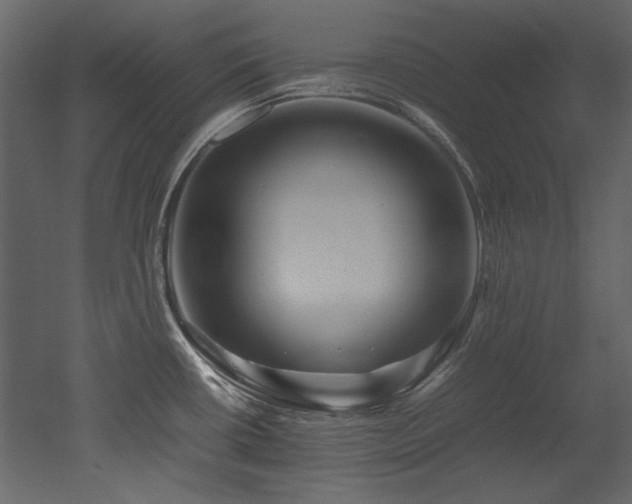 X0000052991434200507081137