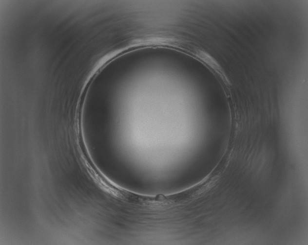 X0000052991436200507081137