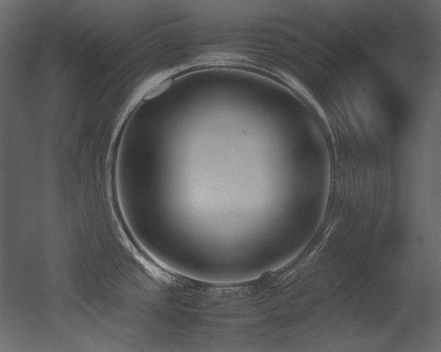 X0000052991437200507081137