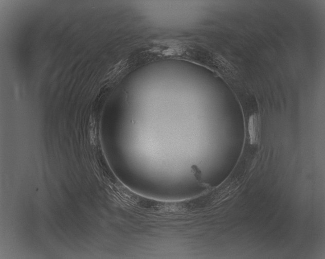 X0000052991443200507081137