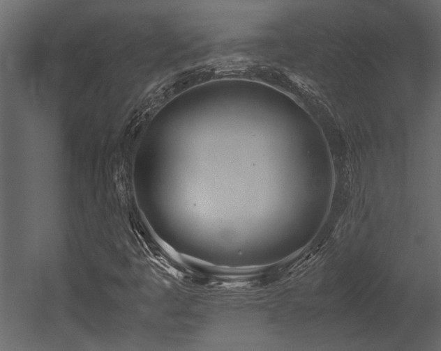X0000052991445200507081137