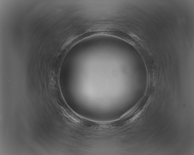 X0000052991449200507081136