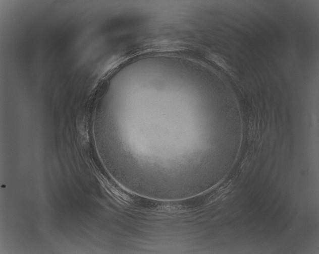 X0000052991451200507081136