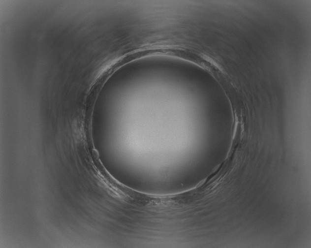 X0000052991452200507081136
