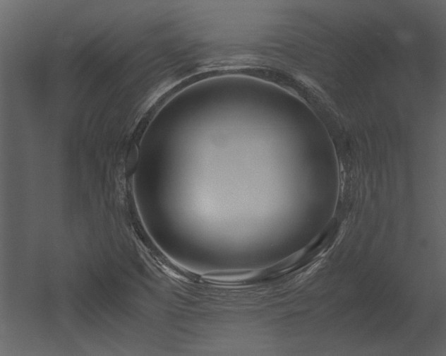 X0000052991457200507081136