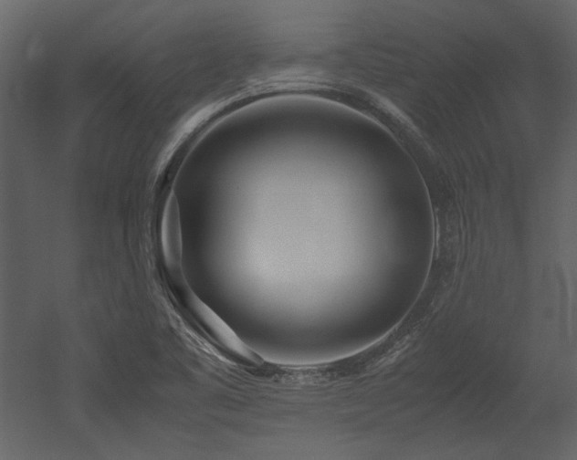 X0000052991461200507081136