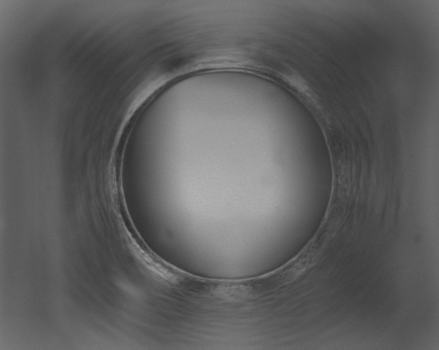 X0000052991466200507081136