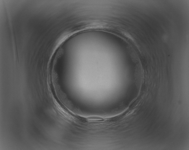 X0000052991467200507081136
