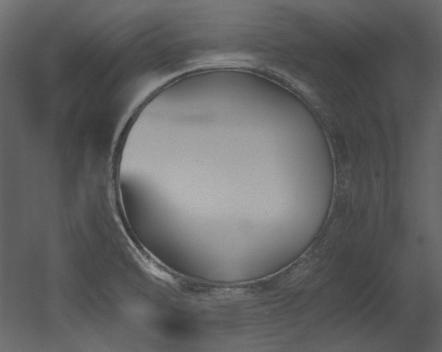 X0000052991470200507081136