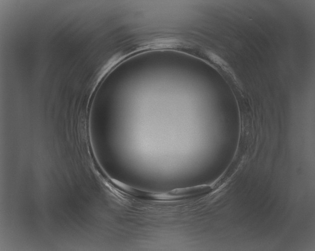 X0000052991473200507081136