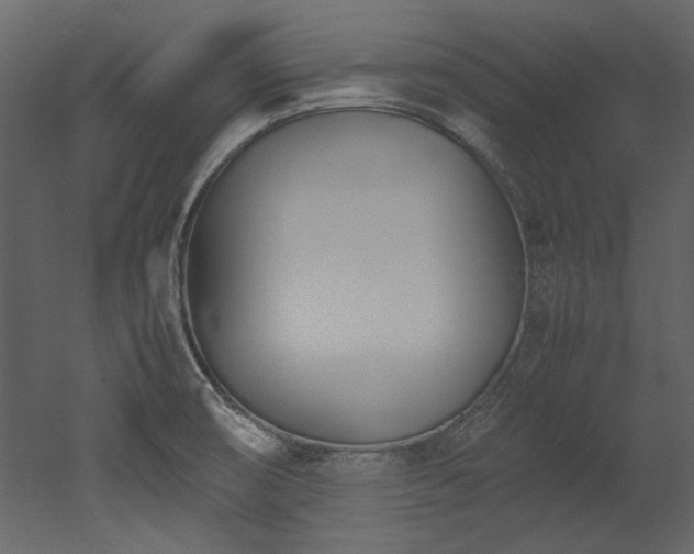 X0000052991474200507081136
